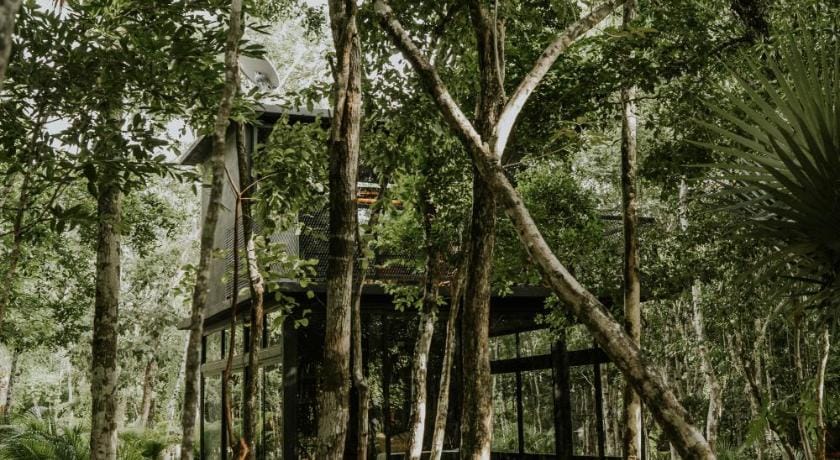 K NAJ Community Cenote Residence Hotel in State of Quintana Roo