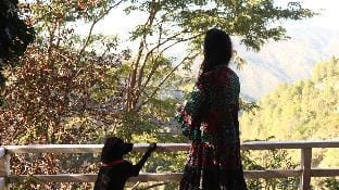 Maalik Ki Mauj (Peach Orchard Stay) Vacation rental in Uttarakhand