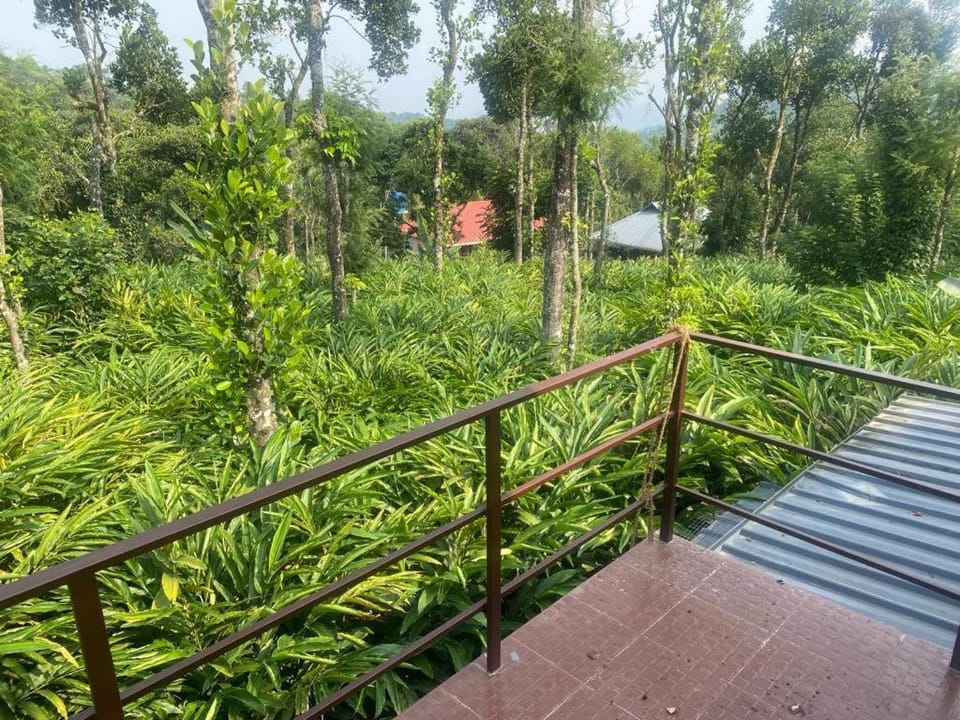 Heavenly Stay Hotel in Kerala