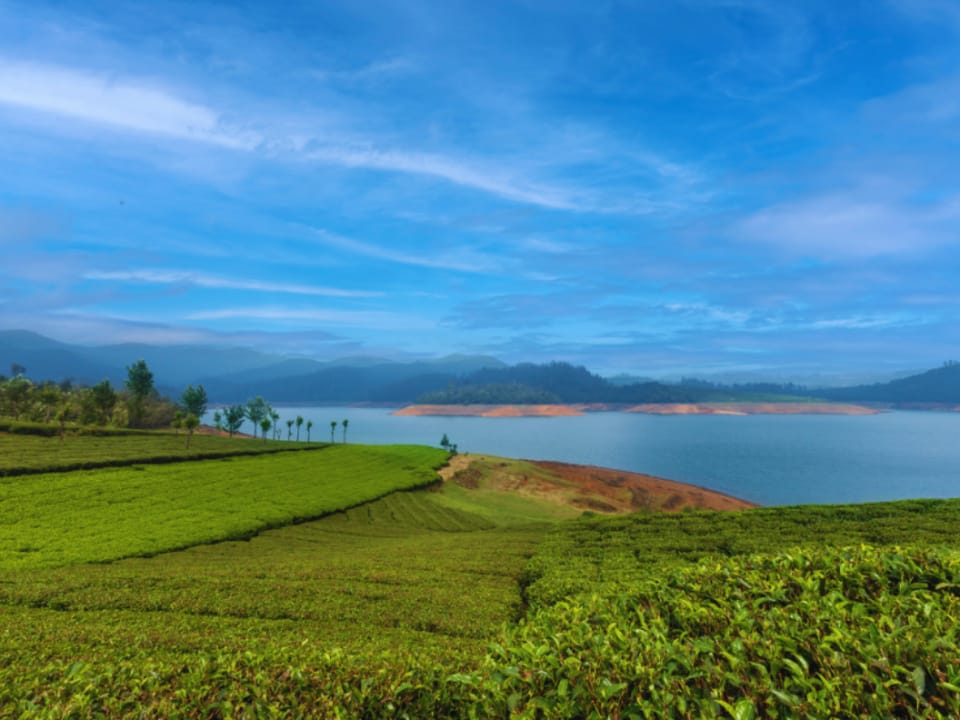Emerald by Nature Resorts and Stays, Avalanchi Country House in Chennai