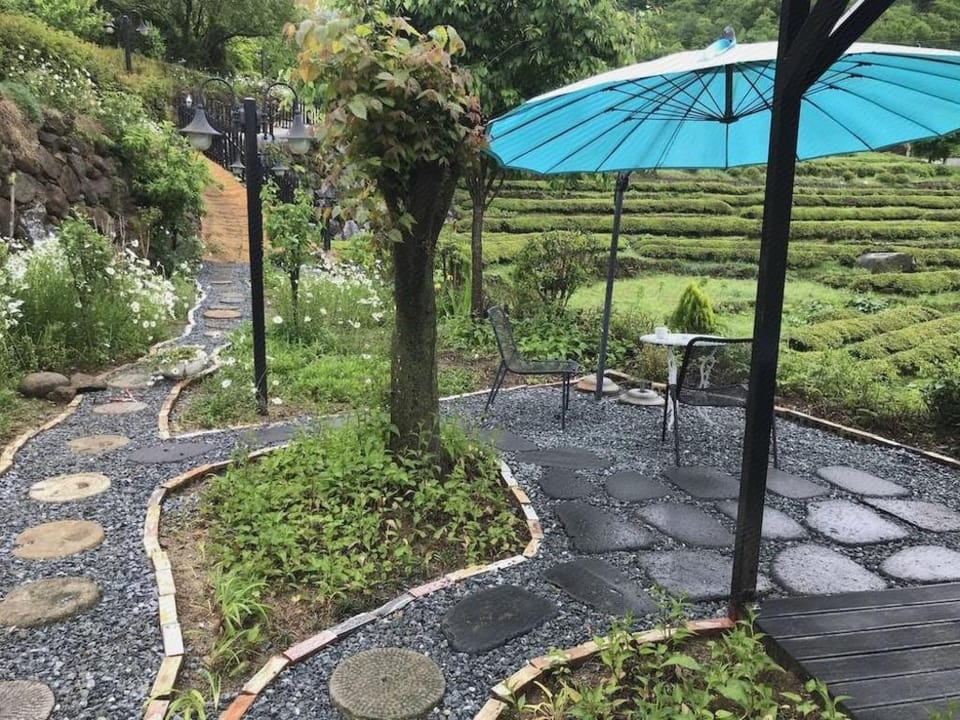 Emotion Pension Bed and Breakfast in South Korea