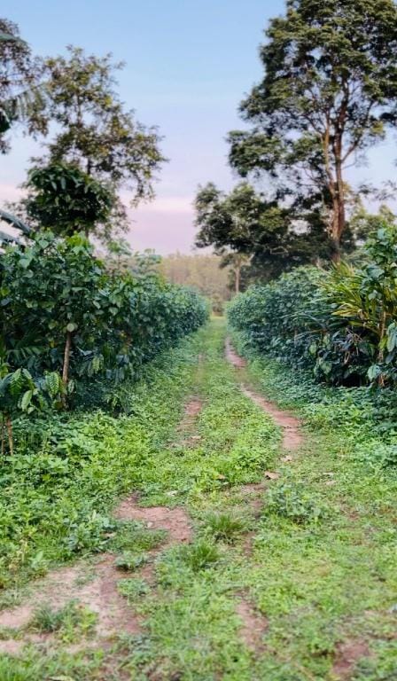 Havala Plantation Stay - Sakleshpur Vacation rental in Sakleshpur