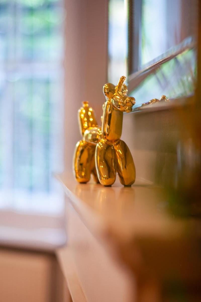 Primrose Park Apartment in London Borough of Camden