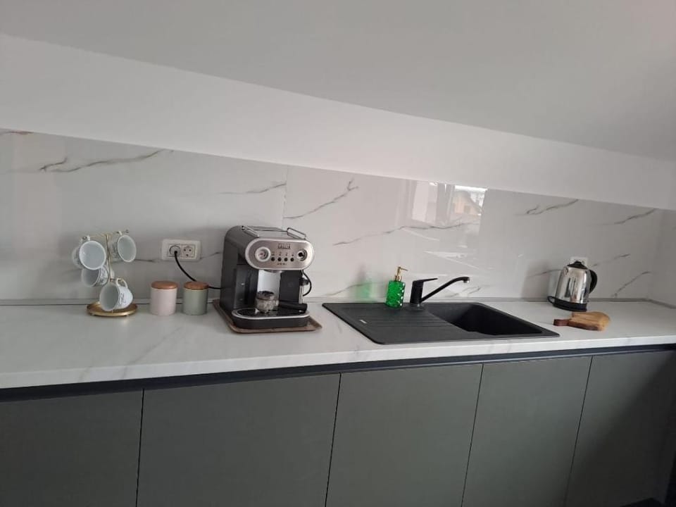 Homestay near motorway Apartment in Timiș County