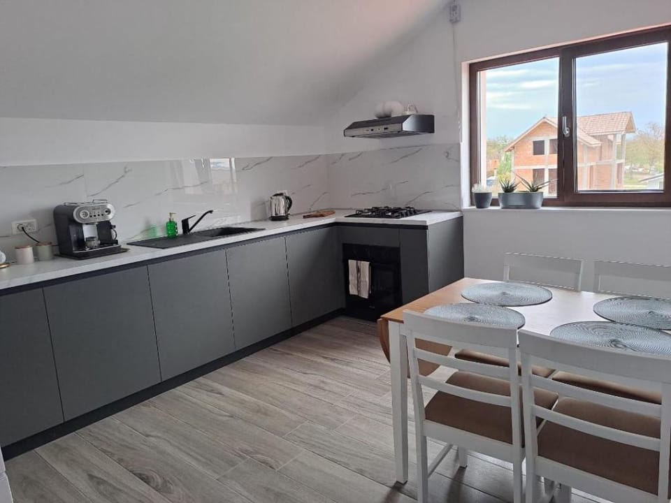 Homestay near motorway Apartment in Timiș County