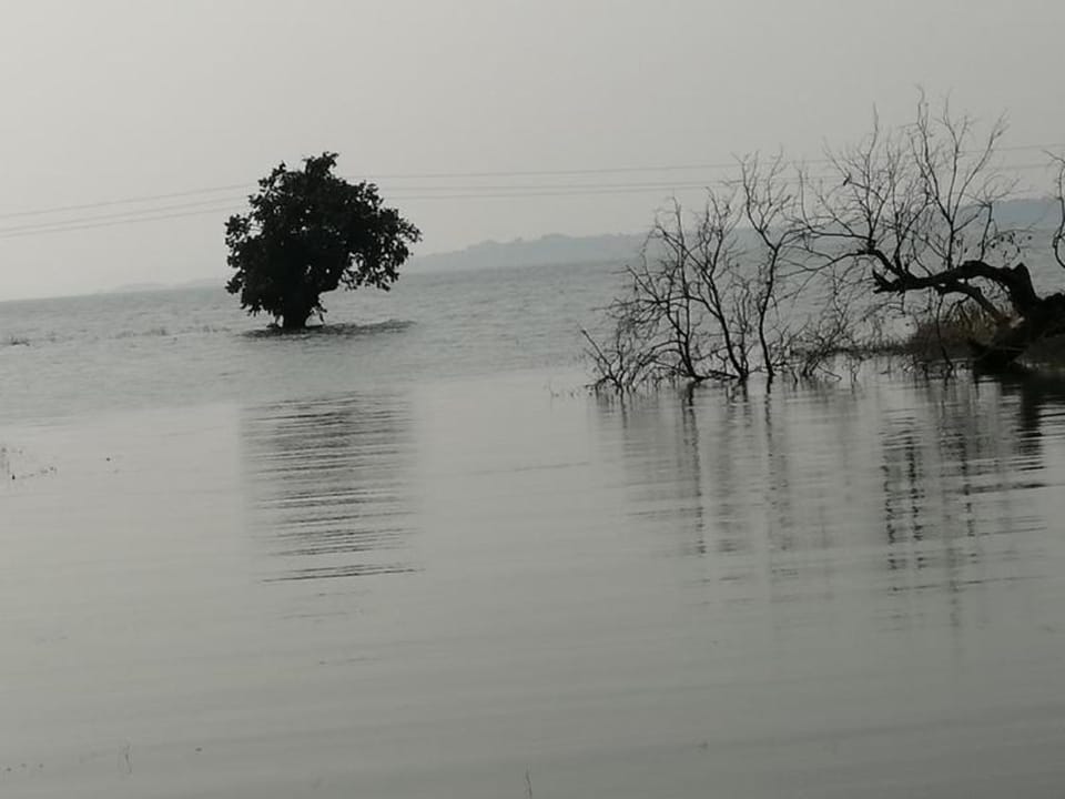 NARMADA VIEW FARMS Vacation rental in India
