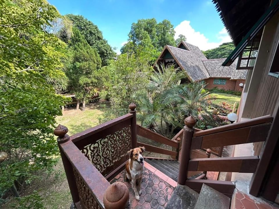 In the midst of nature @ Local Spa&Massage Cottage Vacation rental in Thailand