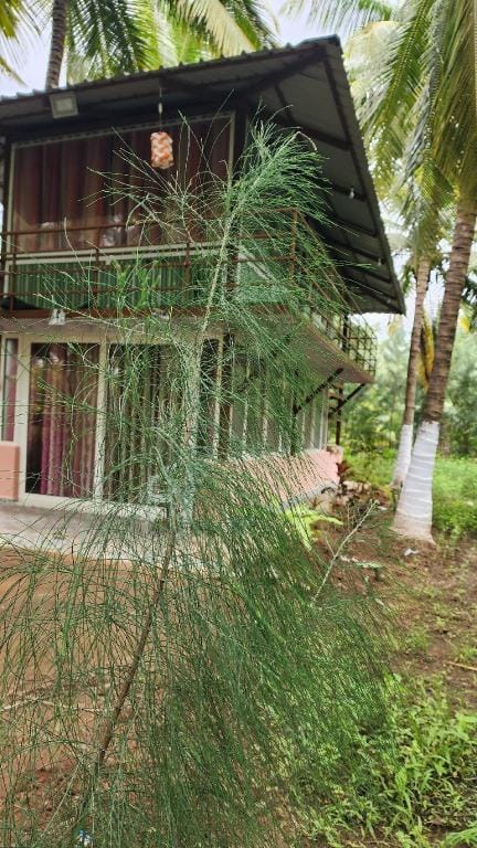Coco paradise bamboo Apartment in Kerala