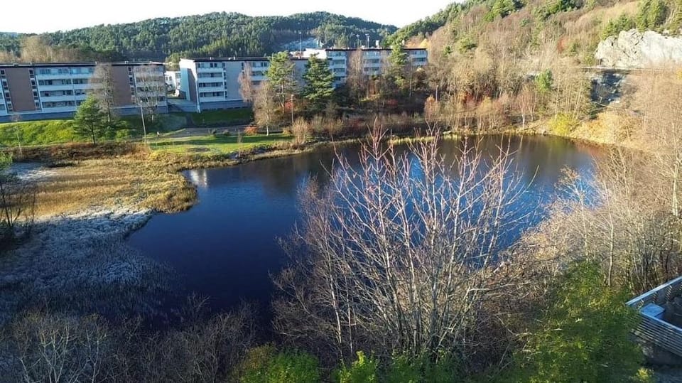 Your Dream Studio in Bergen Apartment in Bergen