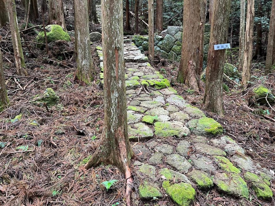 山中のポツンとした民泊たけのこ Bed and Breakfast in Japan
