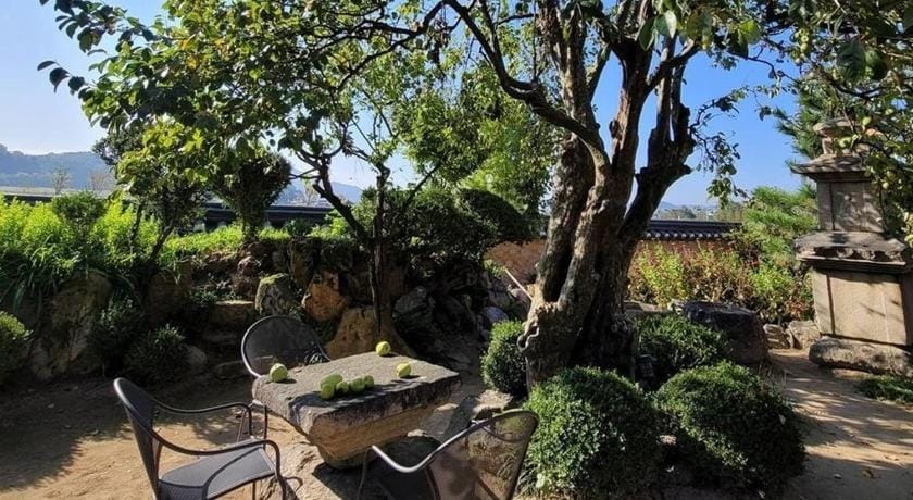 Gyeongju Stone Lantern Home Hanok Stay Bed and Breakfast in South Korea