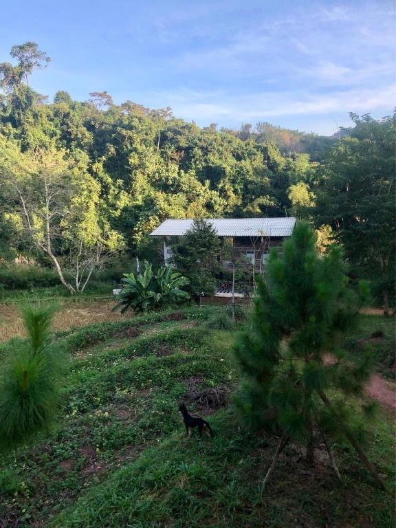 Forest Forest Barn Villa in Laos