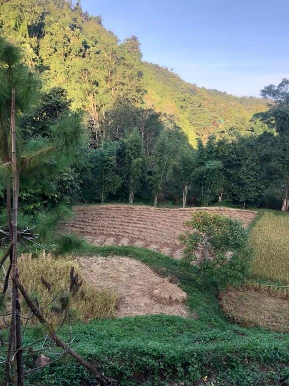 Forest Forest Barn Villa in Laos