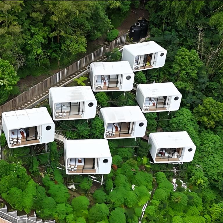 The Forest Cabin Kintamani Hotel in Bali
