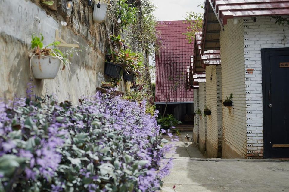  Zen Homestay Vacation rental in Dalat