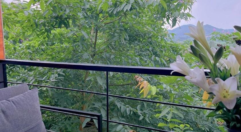 ĐỒI GIÓ RETREAT Luxury tent in Laos