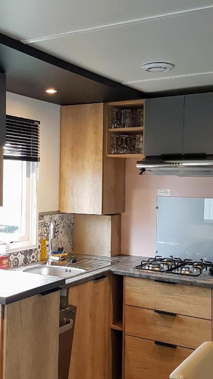 Mobile home De Luxe 3 chambres, 6 personnes Vacation rental in Saint-Cyprien