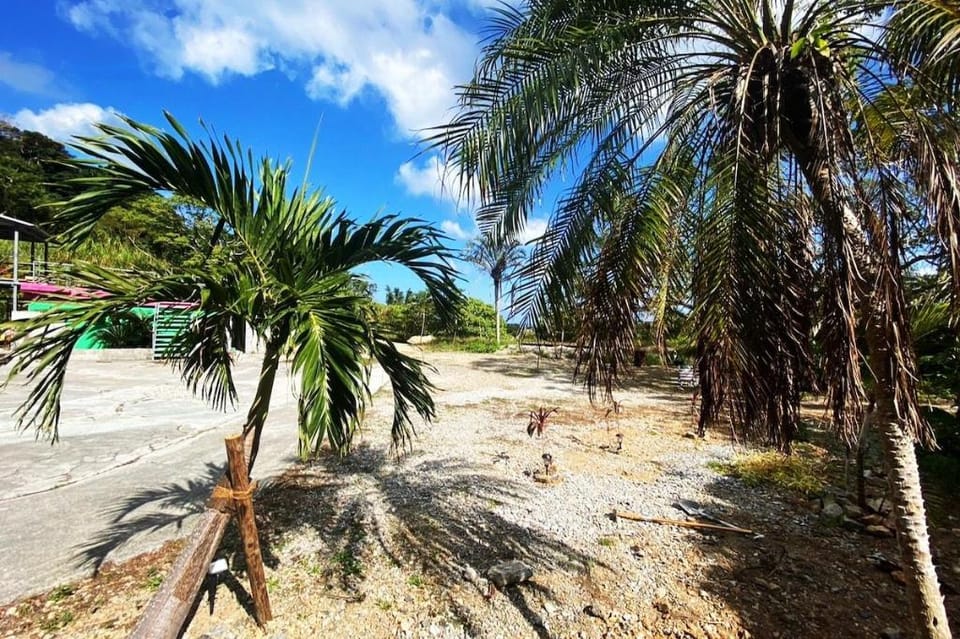 This is Okinawa [Female Only Dormitory] Vacation rental in Okinawa Prefecture