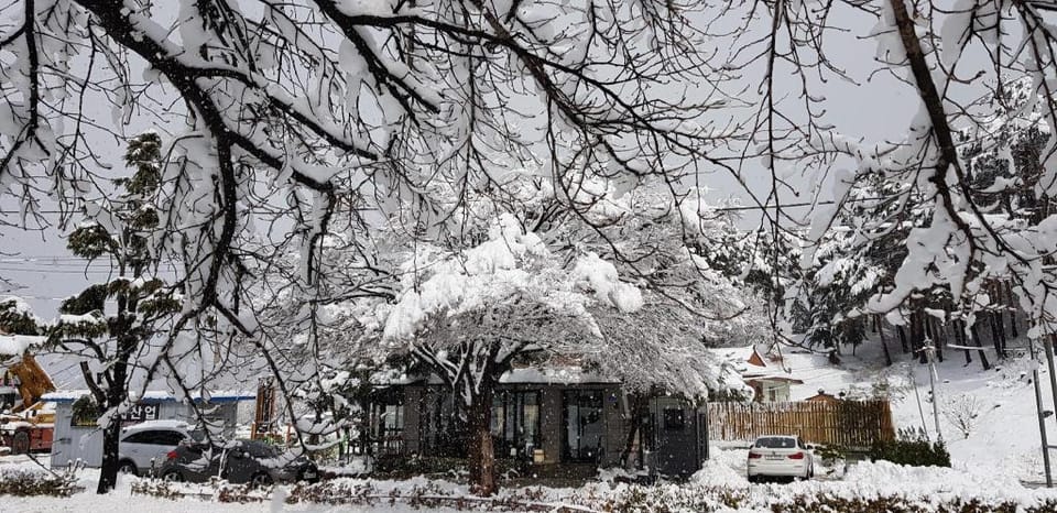 Olympia Gangneung2 Vacation rental in South Korea