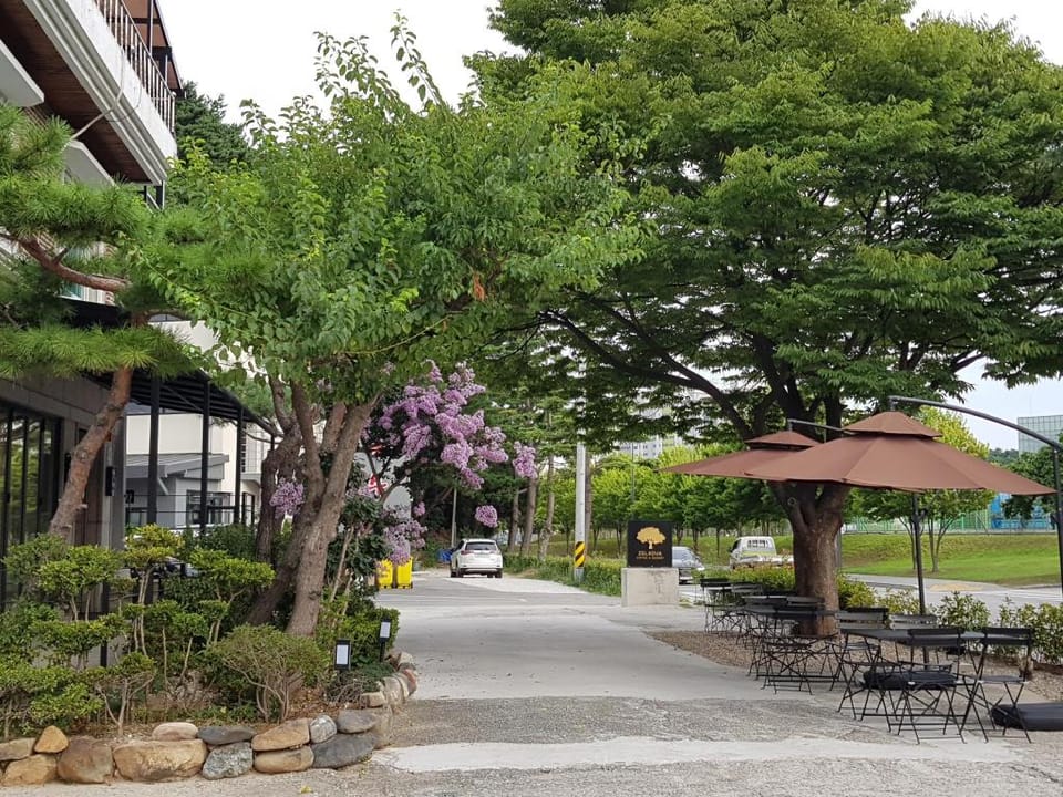 Olympia Gangneung2 Vacation rental in South Korea