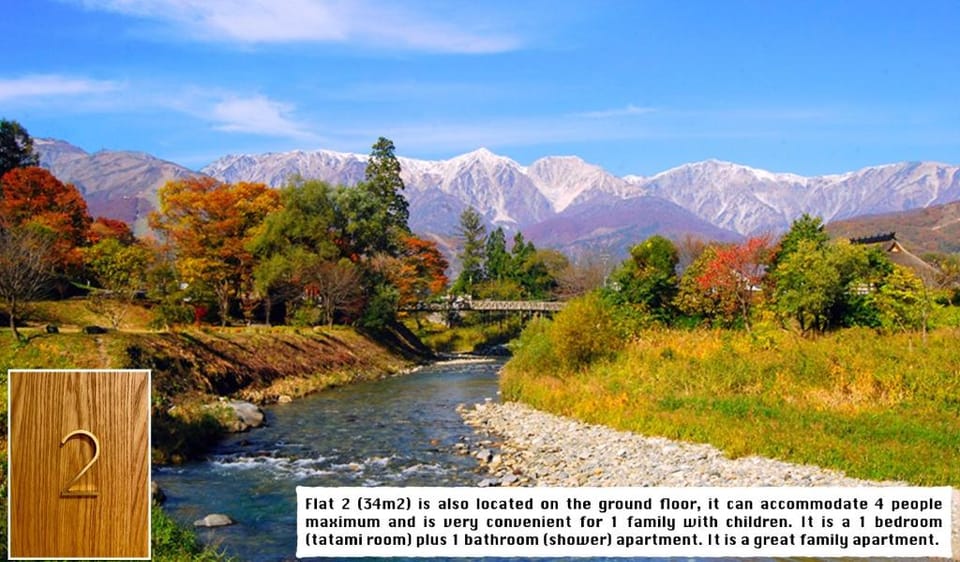 Snow Horizon Apartment in Hakuba