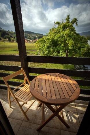 Tranquil Mountain Haven for 3 in Kolasin Apartment in Montenegro