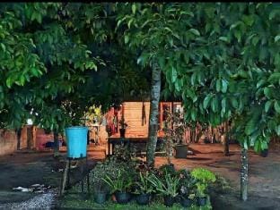 Traveller Homestay Vacation rental in Lingsar