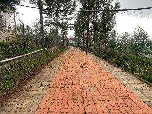 Great space Vacation rental in Kerala