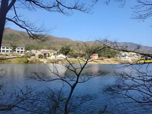 Miso Pension Bed and Breakfast in South Korea