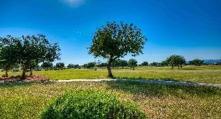 Villa HG29 Proteus Villa in Kouklia