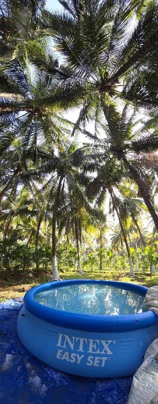 Coco paradise Glass Villa in Kerala