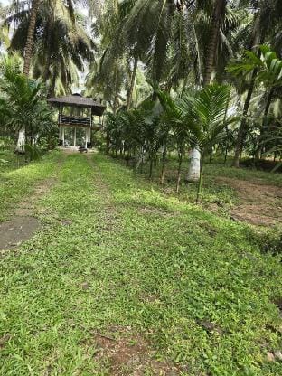 Coco paradise Glass Villa in Kerala