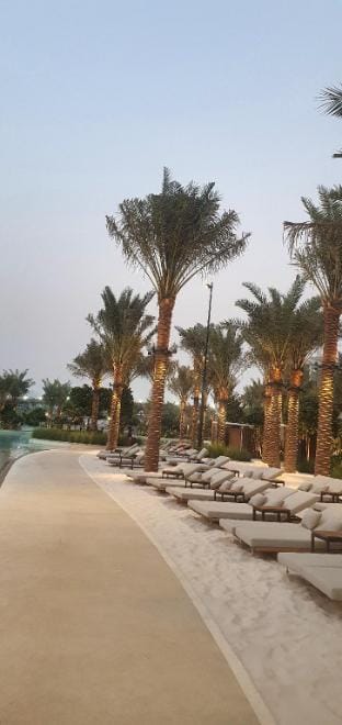 Luxury 1BR Retreat @ Vida Residences - Creek Beach Apartment in Dubai