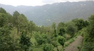 Rustic Villa, Kasauli - Luxury Rooms Availlable Apartment in Himachal Pradesh