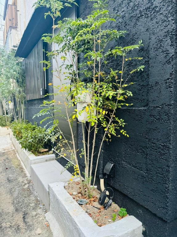 Chao Road ~ Garden Vacation rental in Osaka