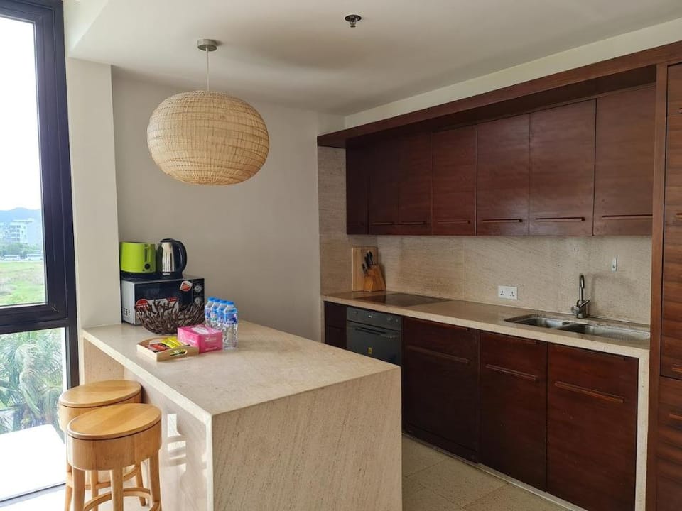 Lalahouses-1BR Apt Huyatt Regency With Ocean View Vacation rental in Hoa Hai