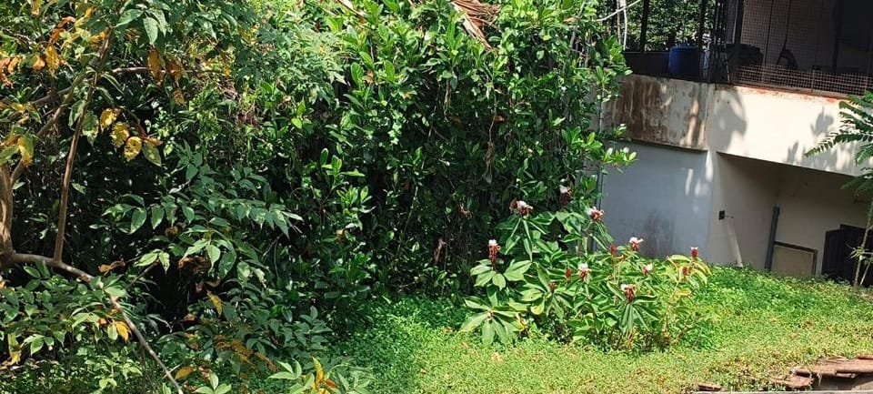 Fort Kochi Villas Villa in Kochi