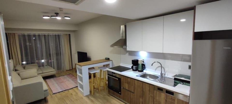 Clean, lux, 24 hrs secure, full equiped Apartment in Istanbul