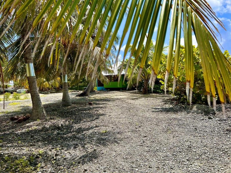 Rangiroa Bliss Bed and Breakfast in French Polynesia