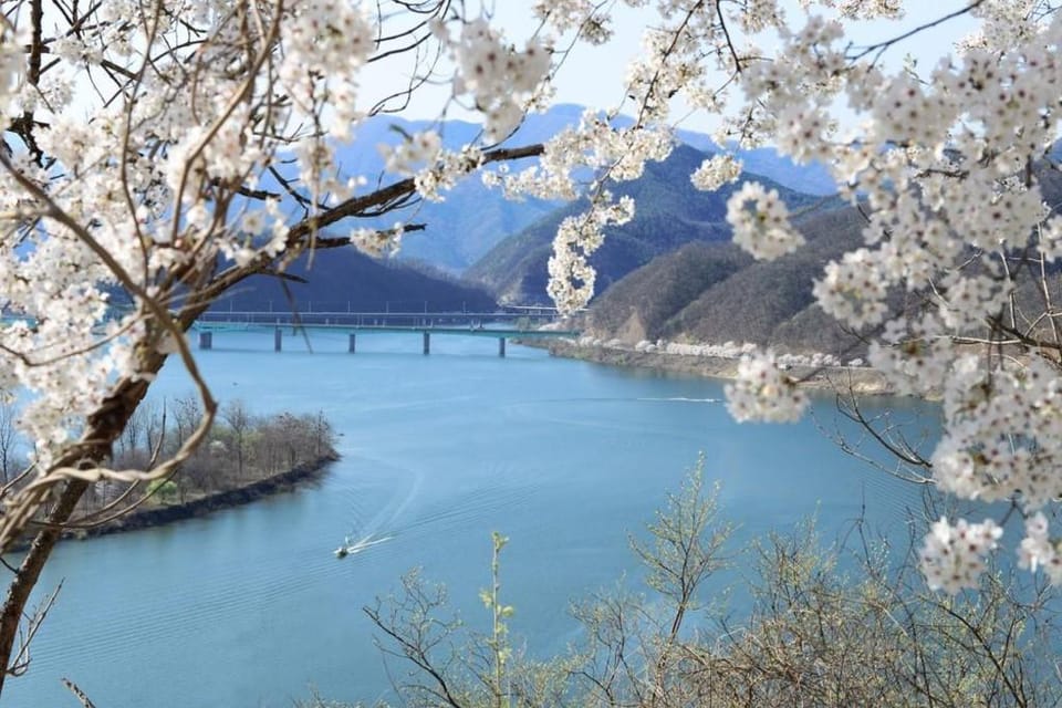 New Healing Spa Pension Bed and Breakfast in Gyeonggi-do