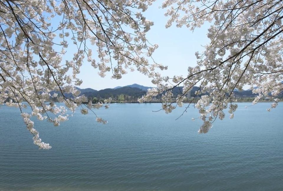 New Healing Spa Pension Bed and Breakfast in Gyeonggi-do