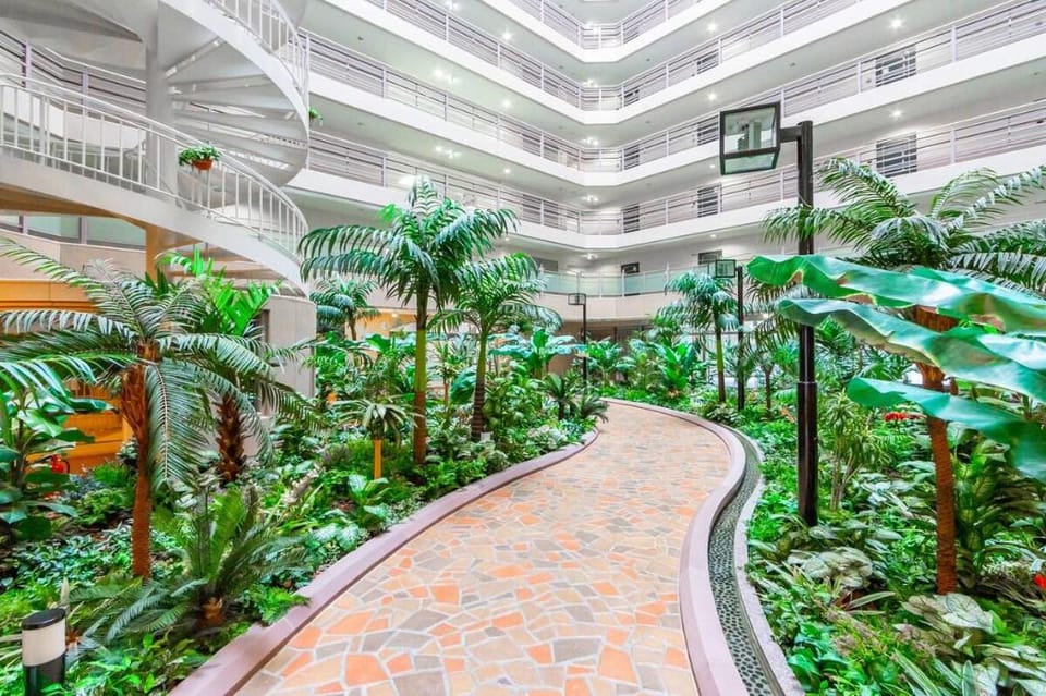 BIOSvilla522~札幌大通公園イルミネーションまで徒歩10分~W-beds2&Sbeds2 Apartment in Sapporo
