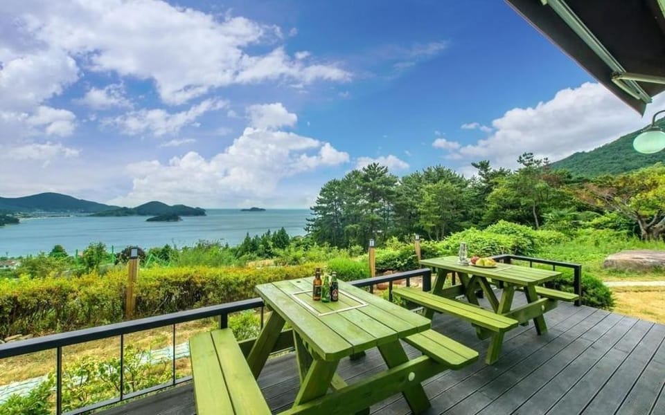 Wonderful Pet Spa Pension Bed and Breakfast in South Korea