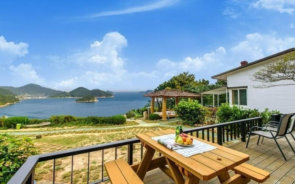 Wonderful Pet Spa Pension Bed and Breakfast in South Korea