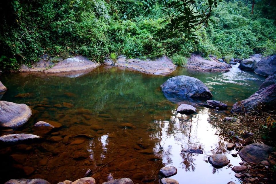 Blue creek Villa in Kerala
