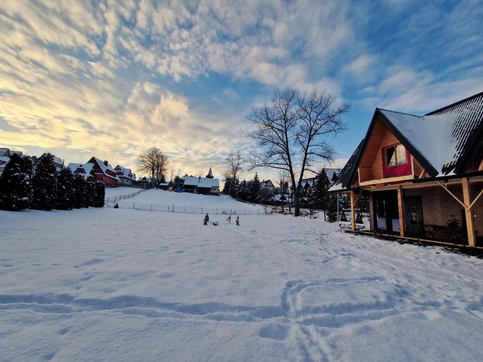 ECO Domek z dużym ogrodem nad strumykiem Vacation rental in Zakopane