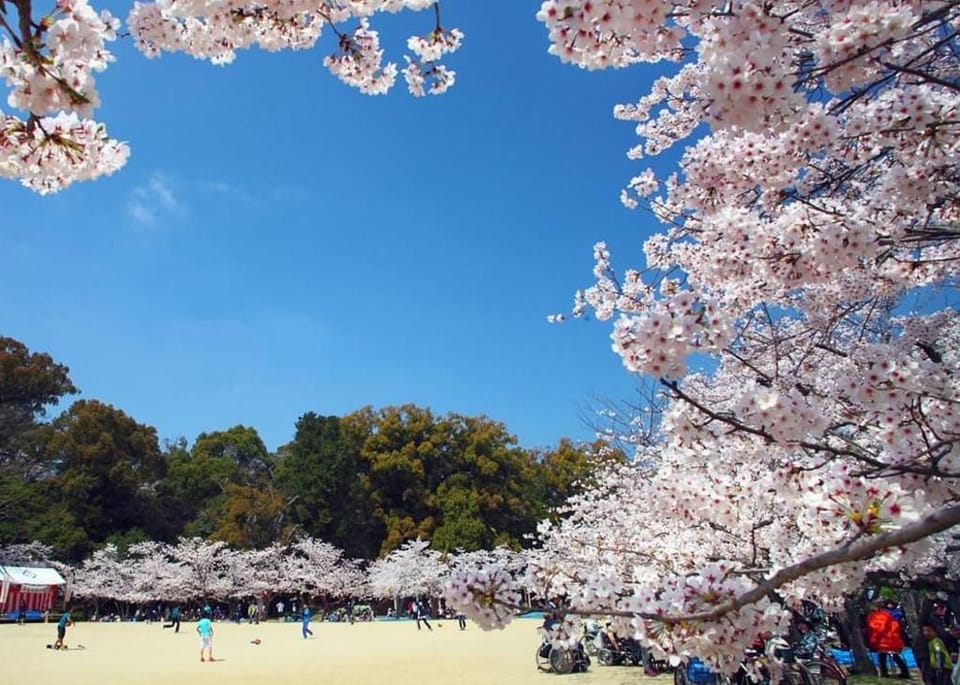 Himerakuen, Family-Friendly Accommodation for Group Travel in Matsuyama City Center Vacation rental in Japan