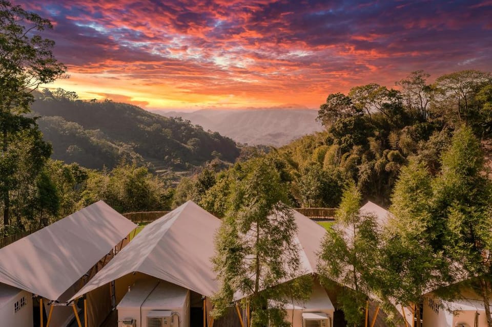 Grow Tree Glamping Campground/ 
RV Resort in Taiwan, Province of China