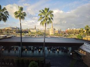 Betis del Oro Vacation rental in Seville