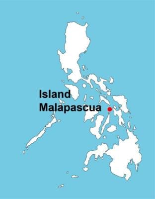 Cottage Holiday House / Malapasqua Island Vacation rental in Central Visayas